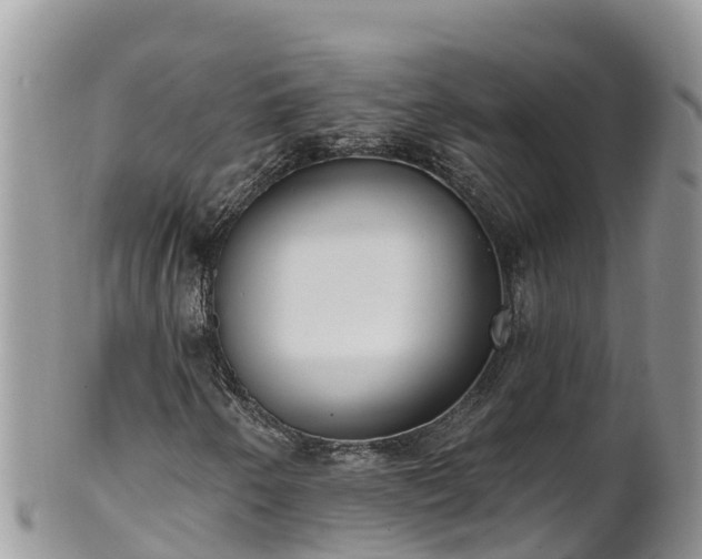 X0000102291250200808011505