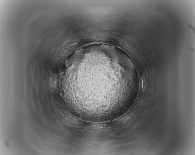 X0000102291251200808011505