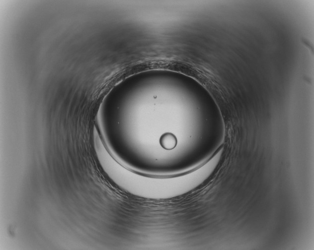 X0000102291252200808011505