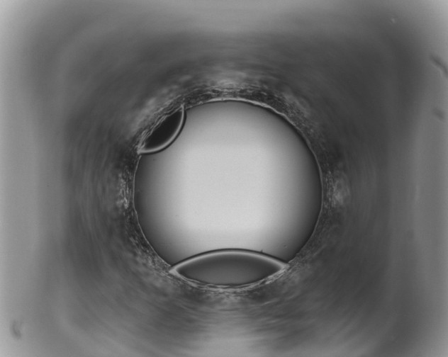 X0000102291253200808011505