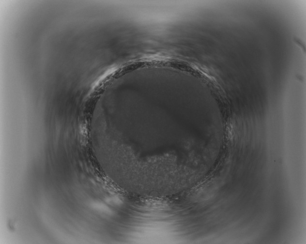 X0000102291254200808011505