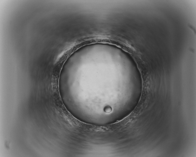 X0000102291255200808011505