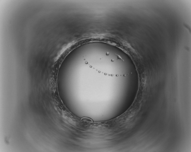 X0000102291256200808011505