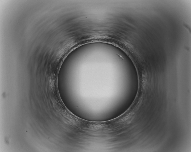 X0000102291257200808011505