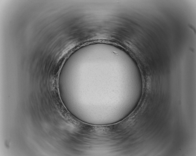 X0000102291258200808011505