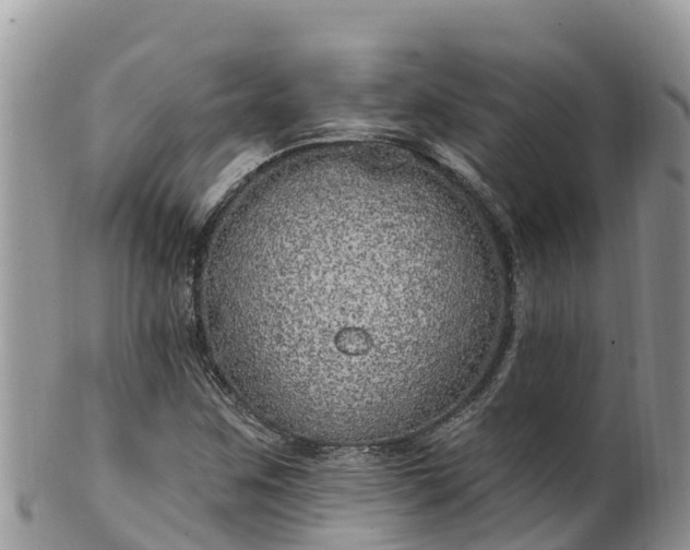 X0000102291259200808011505