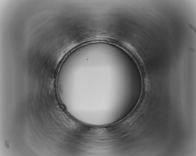 X0000102291260200808011505