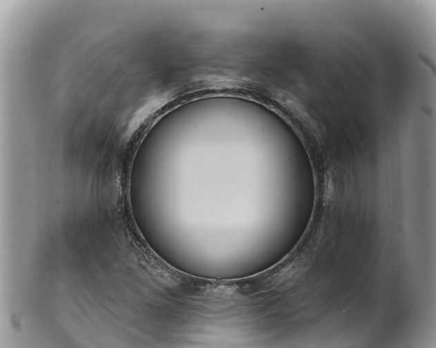 X0000102291261200808011505