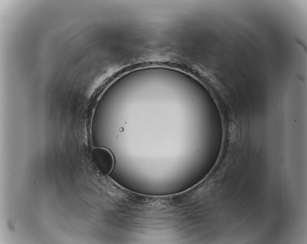 X0000102291262200808011505