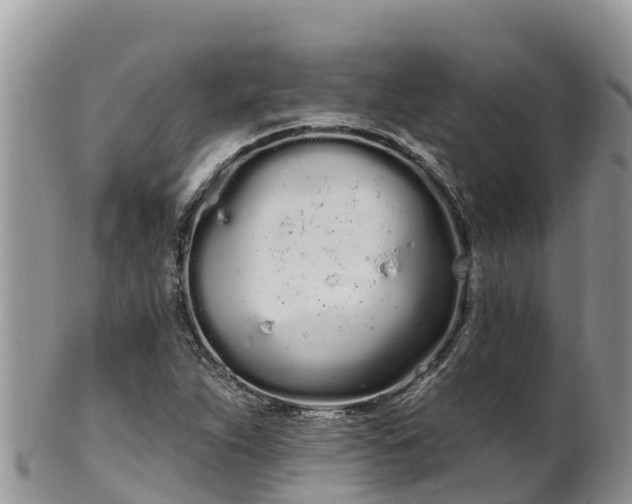 X0000102291263200808011505