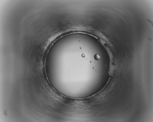 X0000102291264200808011505