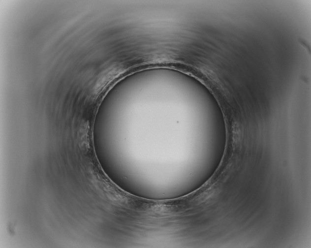 X0000102291265200808011505