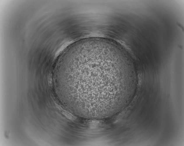 X0000102291266200808011505