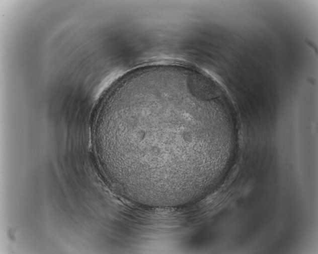 X0000102291267200808011505