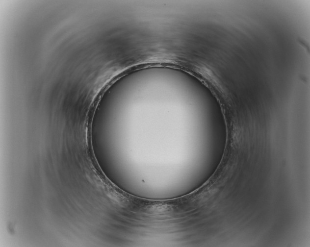 X0000102291268200808011505