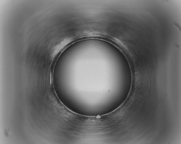 X0000102291269200808011505