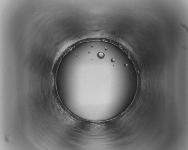 X0000102291270200808011505