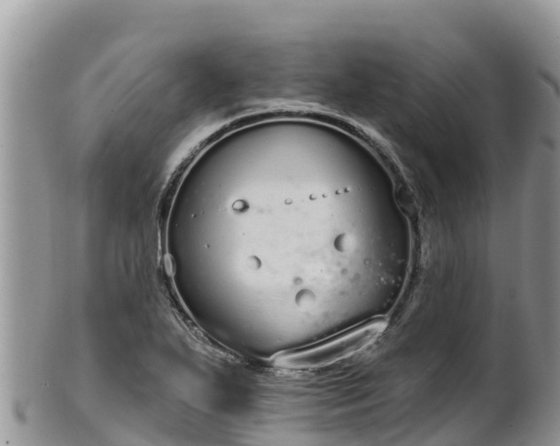 X0000102291271200808011505