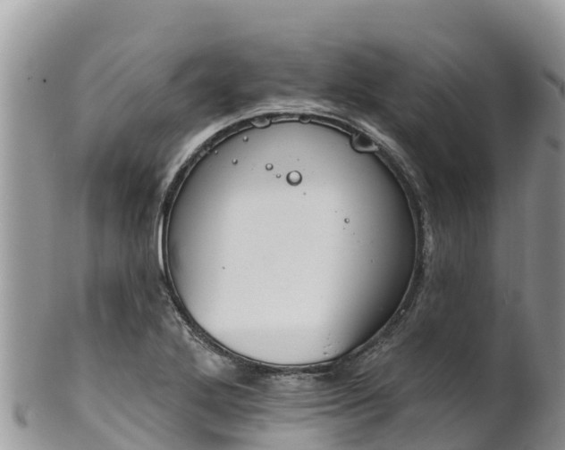 X0000102291272200808011505