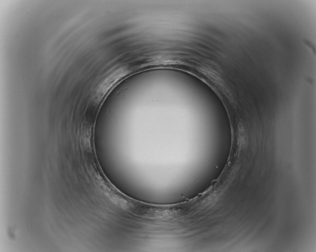 X0000102291273200808011505