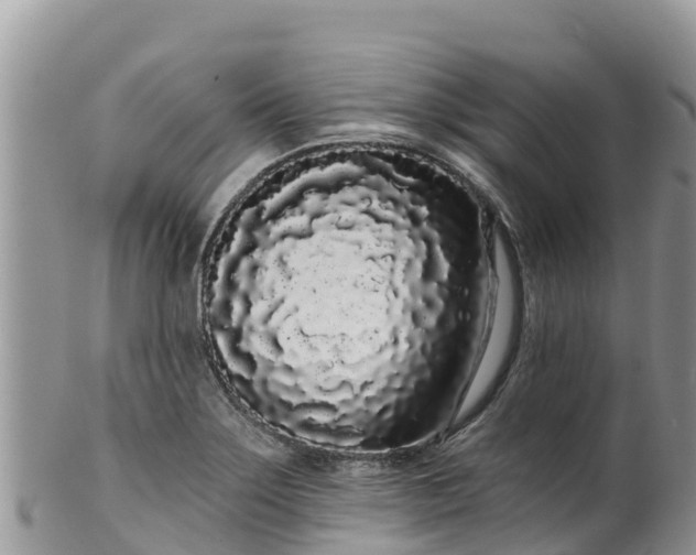 X0000102291275200808011505