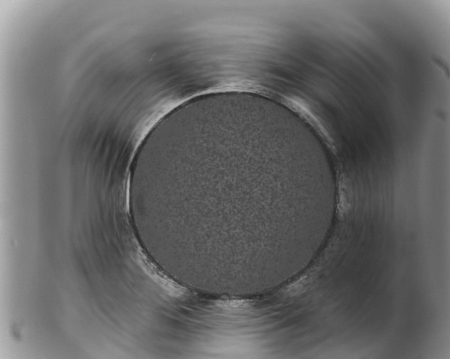 X0000102291276200808011505