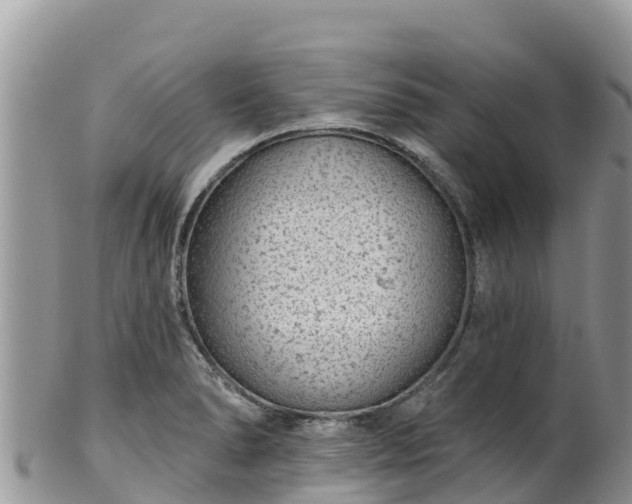 X0000102291278200808011505