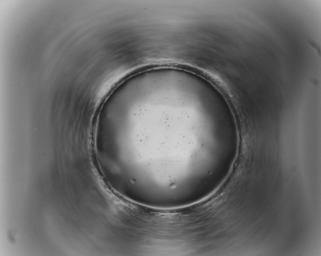 X0000102291279200808011505