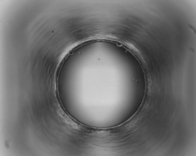 X0000102291280200808011505