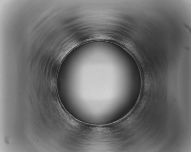 X0000102291281200808011505