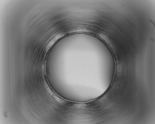 X0000102291282200808011505