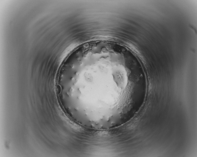 X0000102291283200808011505