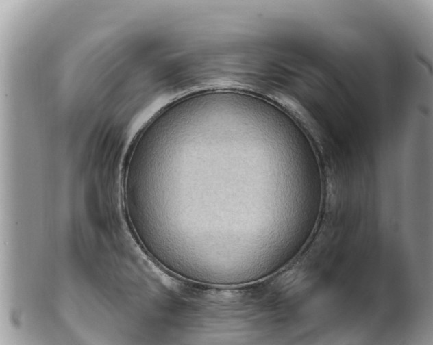 X0000102291286200808011504