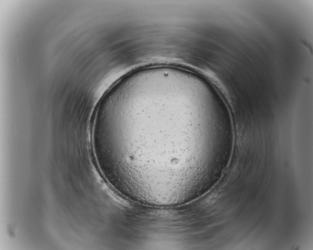 X0000102291287200808011504