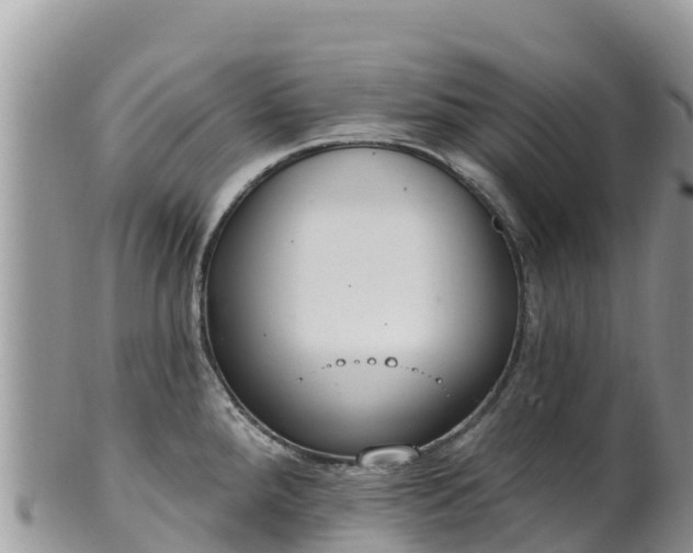 X0000102291288200808011504