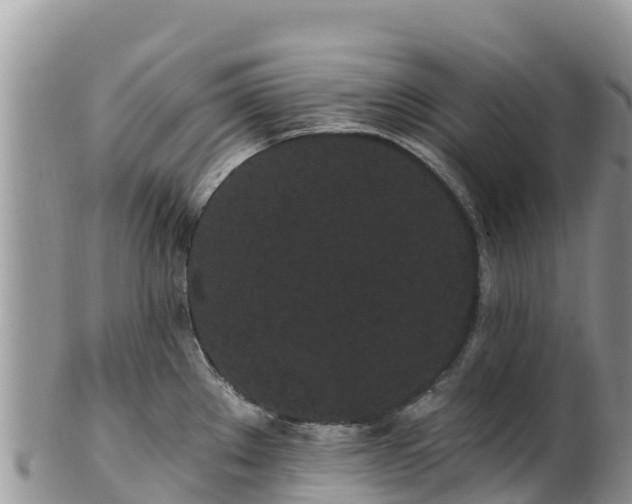 X0000102291289200808011504