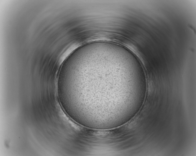 X0000102291290200808011504