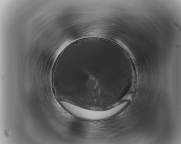 X0000102291291200808011504