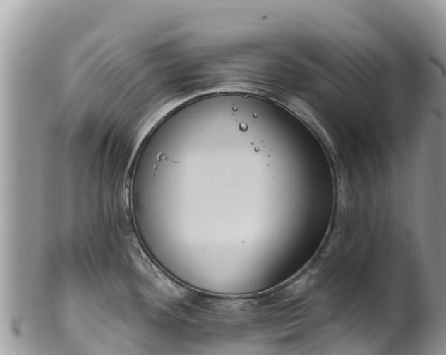 X0000102291292200808011504