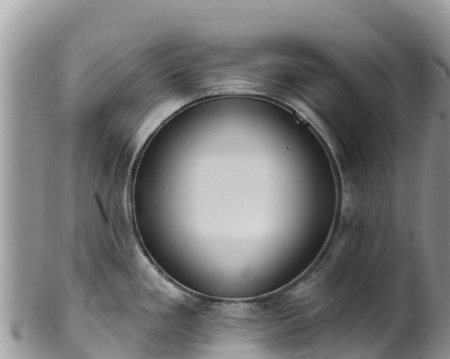 X0000102291293200808011504