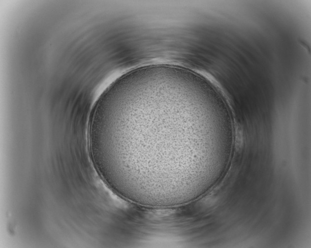 X0000102291294200808011504