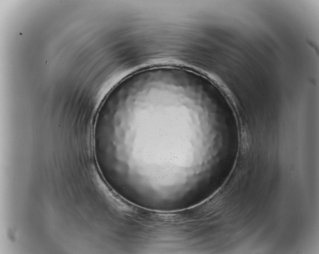 X0000102291295200808011504