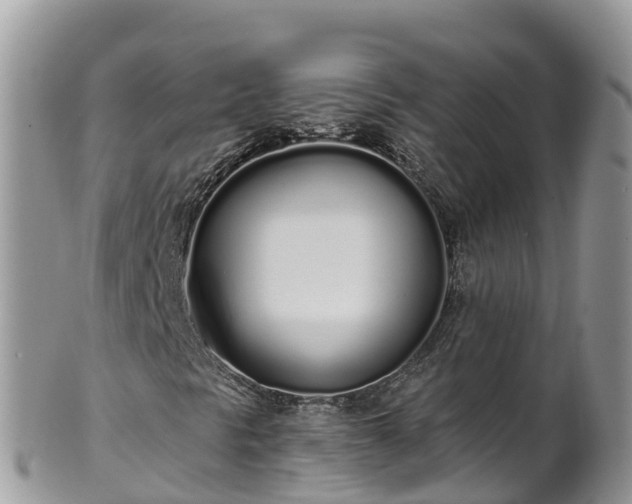 X0000102291297200808011504