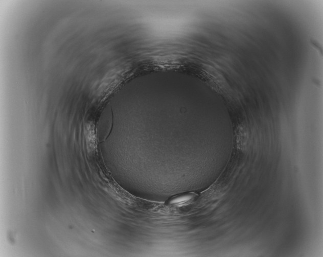 X0000102291298200808011504