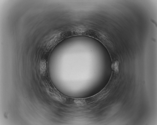 X0000102291299200808011504