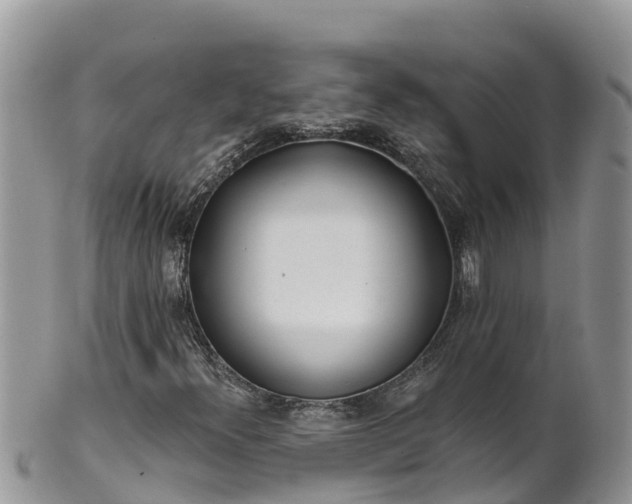 X0000102291300200808011504