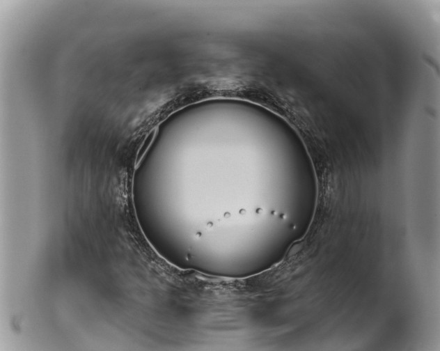 X0000102291301200808011504