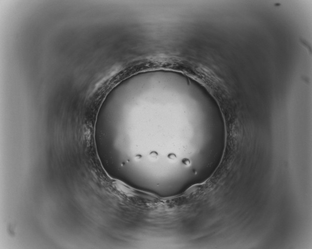 X0000102291302200808011504