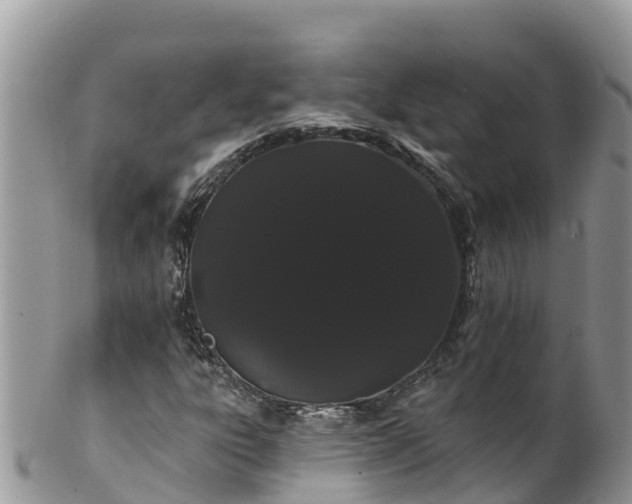 X0000102291303200808011504