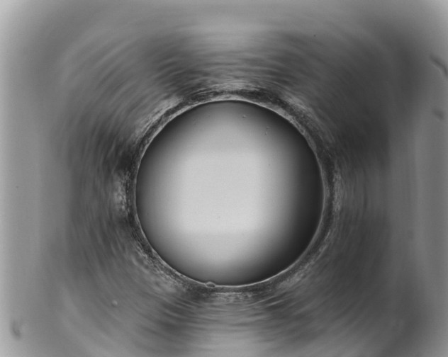 X0000102291305200808011504